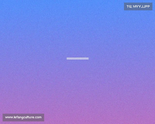 武道巅峰对决：全球武术大赛荣耀启幕